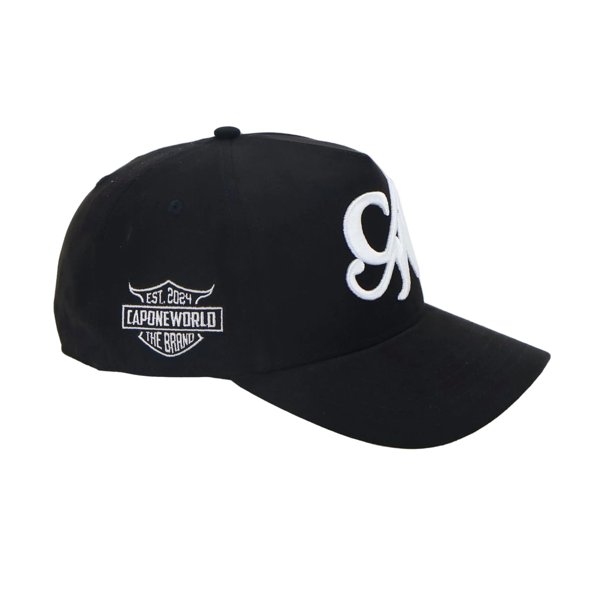 BLACK & WHITE SNAPBACK