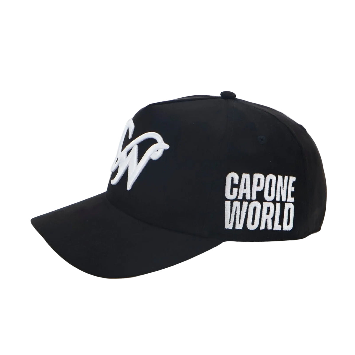 BLACK & WHITE SNAPBACK